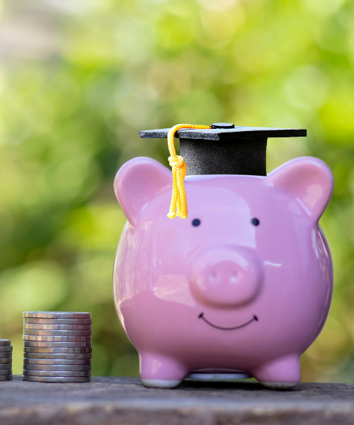 świnka skarbonka z czapką absolwenta studiów