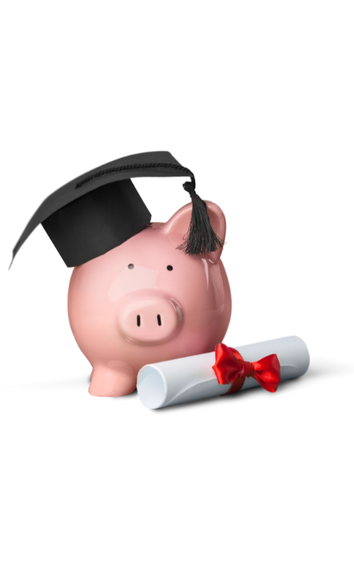 świnka skarbonka z czapką absolwenta studiów