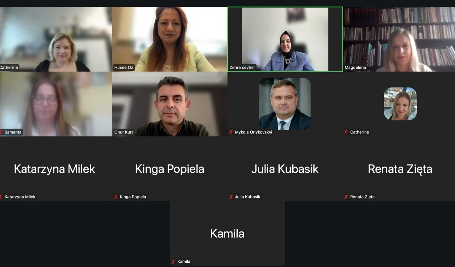 Międzynarodowy webinar "Spektrum autyzmu: szanse i zagrożenia"